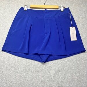 Jennifer Lopez Flat Front Shorts New Purple Dressy size‎ 10